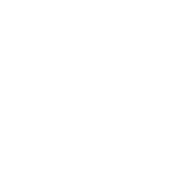 SONNENCHEIN.webp